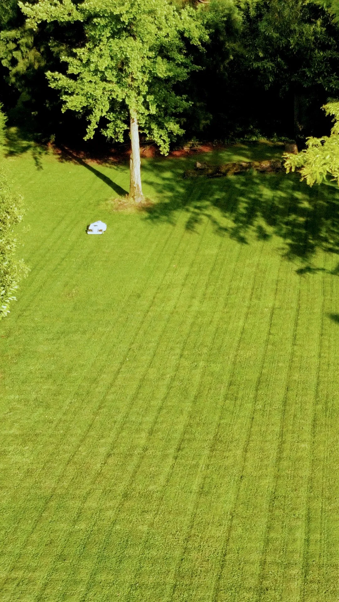 Mammotion LUBA Mini AWD 800 | all wheel drive robot mower - Image 8